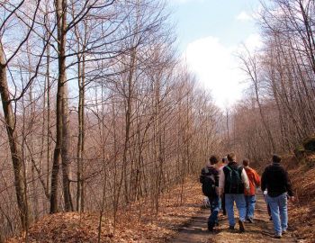 Hiking Trail at Deep Creek Lake