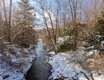 Hiking Trail by Deep Creek Lake