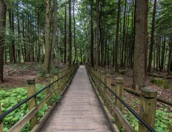 hiking trail near deep creek lake