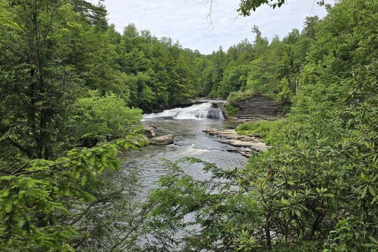 Swallow Falls State Park