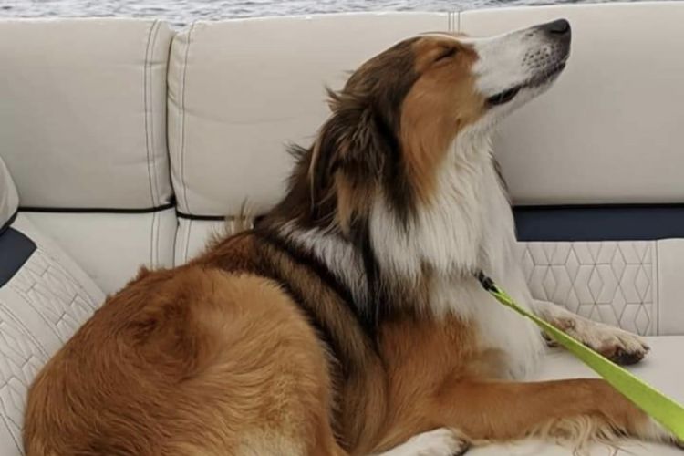 Share Your Memories of Deep Creek Lake