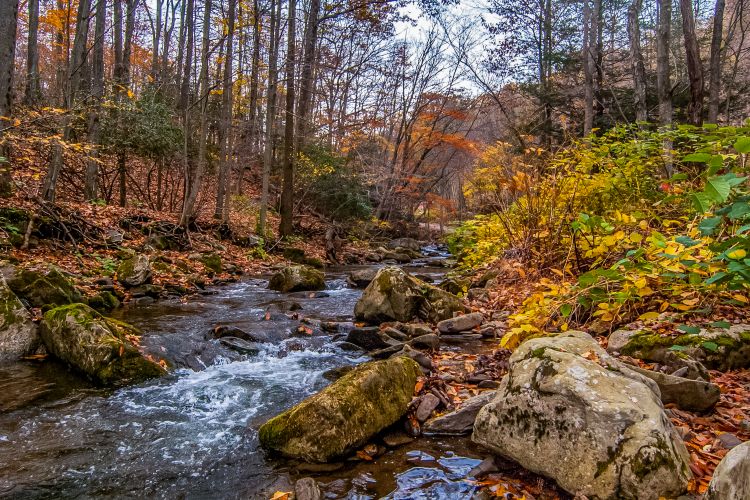 Save on Midweek Stays