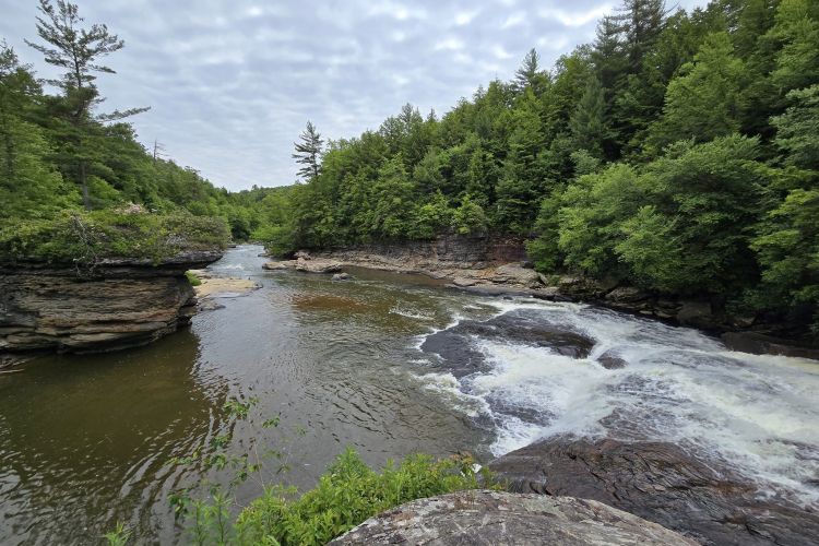 Swallow Falls State Park
