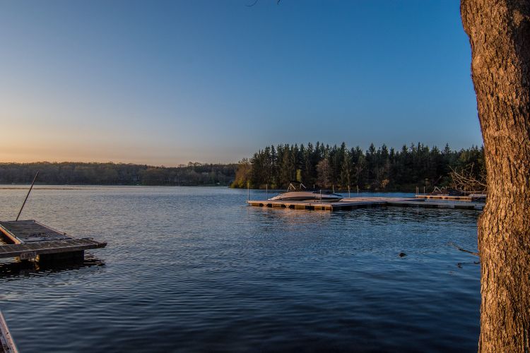 Search Vacation Rentals