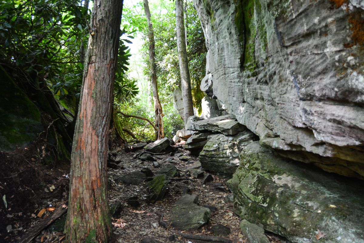 Trail in Rock Maze at Deep Creek MD