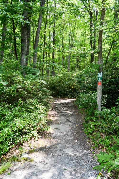 Trailhead at Fork Run Recreation Area Deep Creek Lake MD