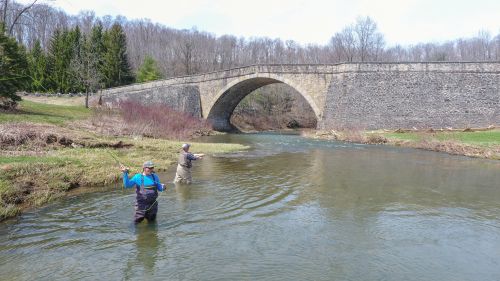 Fly Fishing in Garrett County