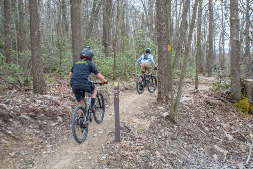 Mountain Biking at Deep Creek Lake