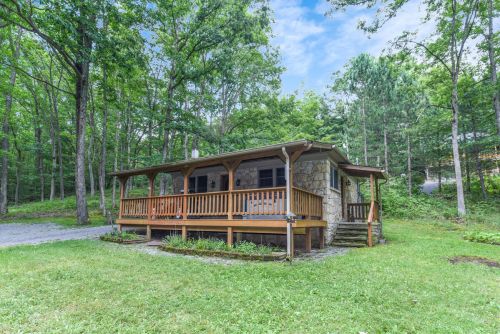 Cozy Cottage Vacation Home Deep Creek Lake