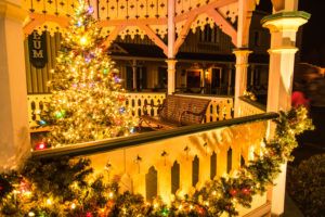 Christmas Tree in Oakland, MD